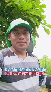 El trabajo en el campo: una opción mejor que marchar