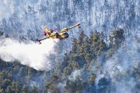 Με το πρώτο φως της ημέρας στην περιοχή επιχειρούν και πάλι τα εναέρια μάχη προκειμένου να περιοριστεί η φωτιά, η οποία έχει φτάσει στο παλαιοχώρι και τη θέα, οι κάτοικοι των οποίων έλαβαν. Zawwx6j9x9swam