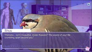 You Have Been LIED TO! Hatoful Boyfriend Is The Evangelion Of Video Games  You Never Knew You Had! - Hatoful Boyfriend - Giant Bomb