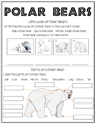 All About Polar Bears In 2020 Cycle For Kids 2nd Grade Worksheets Mammals