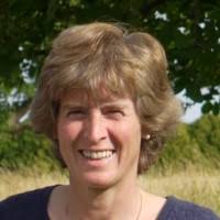 20+ "Beth Mcphail" profiles