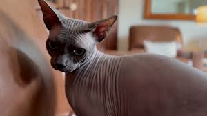 MISSING IN KANSAS: Elvin Everett Crist