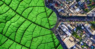 We did not find results for: Alba Group The Recycling Company