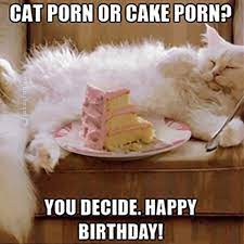Joke4fun Memes Cats And Cakes On Your Bday Why not consider graphic earlier mentioned?