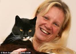 At the grand age of 127 (that's 27 in human years), is Mischief the world's  oldest cat?