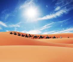Marrakech to zagora 2 days trip: Morocco Camel Trekking Merzouga Sahara Camping Tours