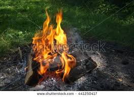 Bonfire Campfire In Nature Burning Wood With Smoke Close Up Of Woods Burning In Fire Place Wood Smoke Bonfire Campfire