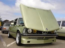 Image result for Mintgrun 1982 BMW