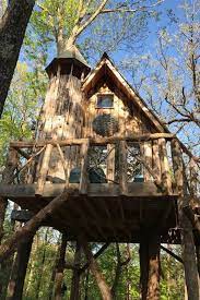 Nicely cushioned perches, spacious houses, sisal scratching posts, several layer design, cozy hammock, jingly balls will provide a lot of lounging room and fun to your kitties. 33 Amazing Treehouses You Can Rent In 2021 Best Tree House Vacations