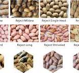 AMD® NY-E Peanut Color Sorter Machine,Optical Sorting ...