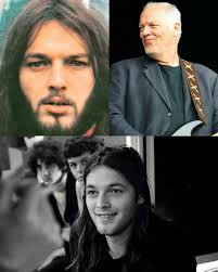 Pigs. Three Different Ones