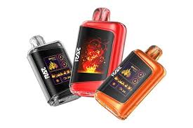 Raz 25000: The Ultimate Puff & Flavor Experience | Raz Vape