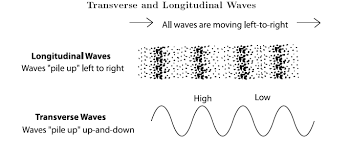 Longitudinal And Transverse Waves Open Textbooks For Hong Kong