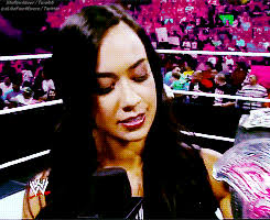 wwe divas championship