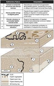 Shop wayfair for all the best halo recessed lighting housings. A Fine Detail Physico Chemical Depositional Model For Devonian Organic Rich Mudstones A Petrographic Study Of The Hare Indian And Canol Formations Central Mackenzie Valley Northwest Territories Sciencedirect