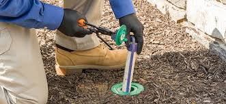 Pest control pricing sunshine coast. Average Cost Of Termite Treatment