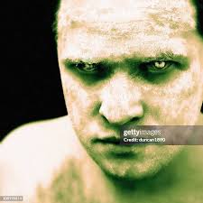 469 Brad Low Stock Photos, High-Res Pictures, and Images