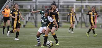 Club deportivo arturo fernandez vial page on flashscore.com offers livescore, results, standings and match details (goal scorers, red cards Arturo Fernandez Vial Femenino Logro Un Valioso Triunfo En Casa