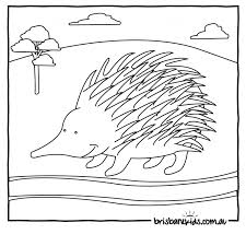 Children love to know how and why things wor. Australian Animals Colouring Pages Art
