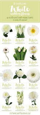 Dahlias are colorful, spiky, daisy like flowers that will bloom from midsummer until the first frost. Essential White Wedding Flower Guide Names Types Pics Wedding Flower Guide Flower Bouquet Wedding White Wedding Flowers