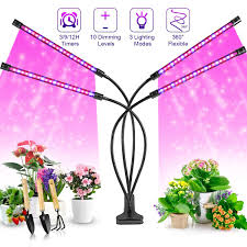 Growing succulent plants is becoming a popular trend. Pin On Indoor Garden