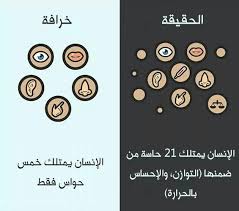 Pin By نونا نونا On صور تعبيرية Cool Words Turmeric Tea Arabic Words