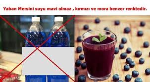 Reçel, meyve suyu, tatlandırıcı ve çay olarak tüketilebilir. Ekin Dogal Urunler Posts Facebook