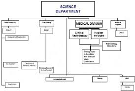 organizational chart of engineering department