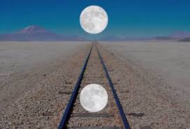 Image result for illusion pictures