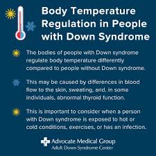 Image result for Temperature Regulation