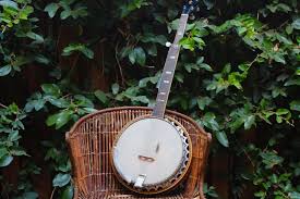 Popular swimwear with cactus of good quality and at affordable prices you can buy on aliexpress. 4 Best Professional Banjos Our Top Choices Music To My Wallet