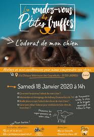 Analyse et pronostic du quinté du jour, statistiques sur les courses hippiques, classement des meileurs pronostiqueurs. Programme 28 Janvier Clinique Veterinaire Des Coquelicots