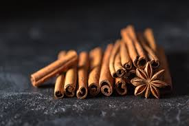 A Dash of Cinnamon for a Blast of Health - Dr. Ann Wellness