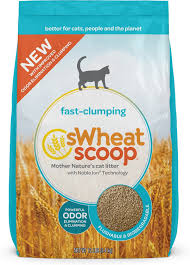 Clay cat litter it is widely available and fairly inexpensive depending on the brand. 9 Best Natural Cat Litter Alternatives That Are Healthy And Safe Reviews