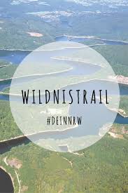 Wildnistrail Wanderweg Im Nationalpark Eifel Ausflug Nrw Ausflug Wandern Nrw