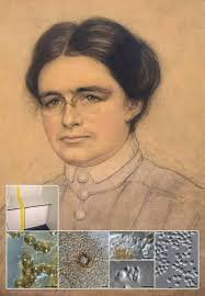 Fungal Planet description sheets: 558ÂŒ624