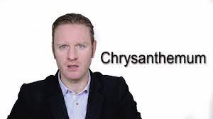 Chrysanthemum Meaning Pronunciation Word Wor L D Audio Video Dictionary Youtube