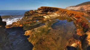 15 exact low tide point loma tide pools