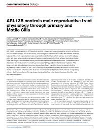 PDF) ARL13B controls male reproductive tract physiology through primary and  Motile Cilia