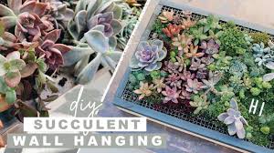 According to the national capital cactus and succulent society, a good potting mixture. Diy Succulent Wall Planter Easy Woodworking Project Youtube