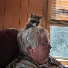 Randy (@racc.dad) • Instagram photos and videos