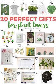 20 Perfect Gifts For Plant Lovers 2019 Paisley Sparrow Plant Lover Gift Plant Lover Plant Gifts