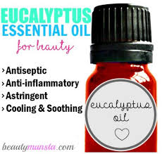 So, if hair growth has been restricted due to an unhealthy scalp, tea tree is a great option to consider. Eucalyptus Essential Oil For Hair Loss Why It Works Beautymunsta Free Natural Beauty Hacks And More