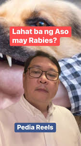 Lahat ba ng Aso may Rabies? #pediareels