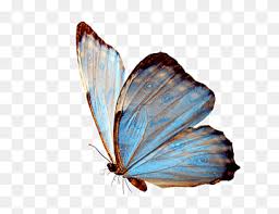 Free Free Butterfly Swarm Svg 683 SVG PNG EPS DXF File