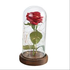 Enchanted Rose Light Up Glass Dome Beauty And The Beast Led Red Prop Belle Gift Walmart Canada