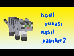 Minecraft Kus Kafesi Nasil Yapilir Youtube