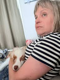 Hello, introducing myself and my mini-aussie girl