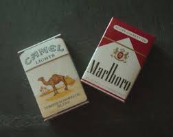 Introduced only in 1913, camel had reached sales of 20 billion cigarettes by 1920, following a government supply order and a successful marketing. Margery Niblock My Neighborhood