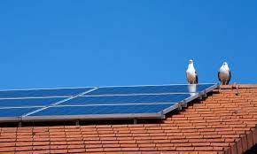 Installing residential solar pv consists of: Most Common Solar Panel Problems And How To Solve Them Which News